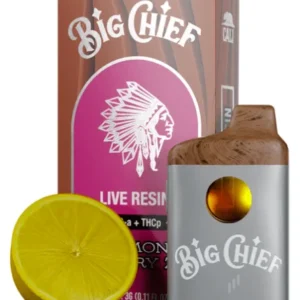 big chief 3g disposable, big chief 3g, big chief vape precio, big chief live resin, big chief 3g disposable review, big chief live resin disposable, big chief thca disposable, new big chief,